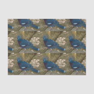 A Blue Bird tissue paper