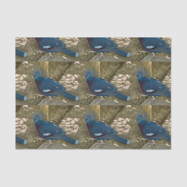 A Blue Bird tissue paper (Front)