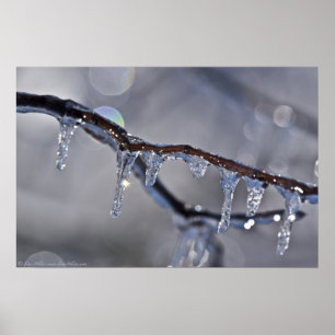 A Bokeh Of Glitering Ice Fringe Poster