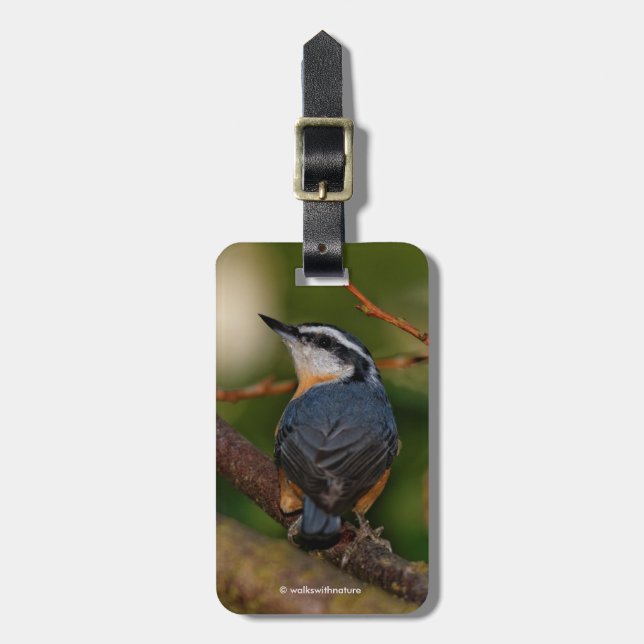 A Bold Red-Breasted Nuthatch Luggage Tag (Front Vertical)