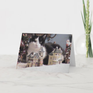 A Boo Boo Christmas Holiday Card