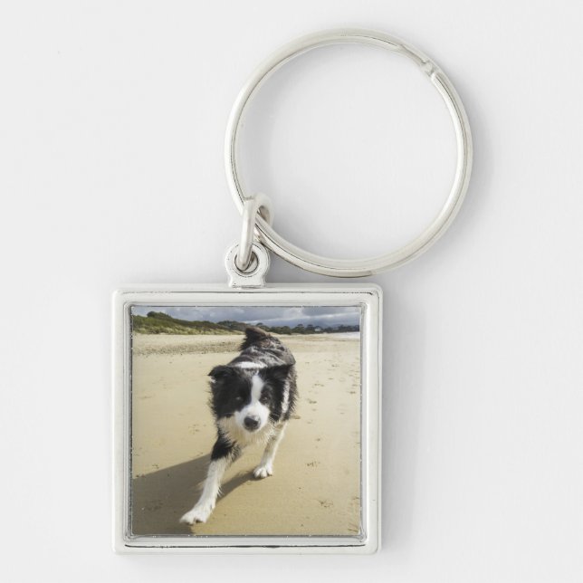 A Border Collie Dog Running On The Beach Keychain (Front)