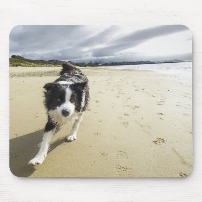 A Border Collie Dog Running On The Beach Mouse Pad (Front)