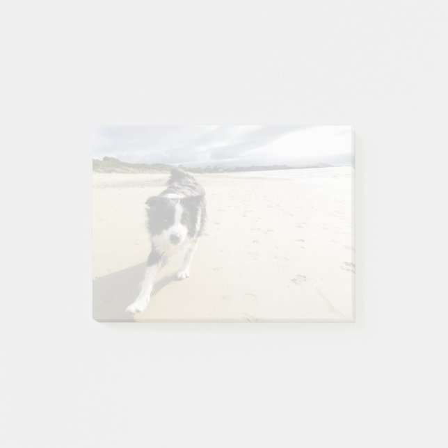 A Border Collie Dog Running On The Beach Post-it Notes (Front)