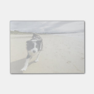 A Border Collie Dog Running On The Beach Post-it Notes