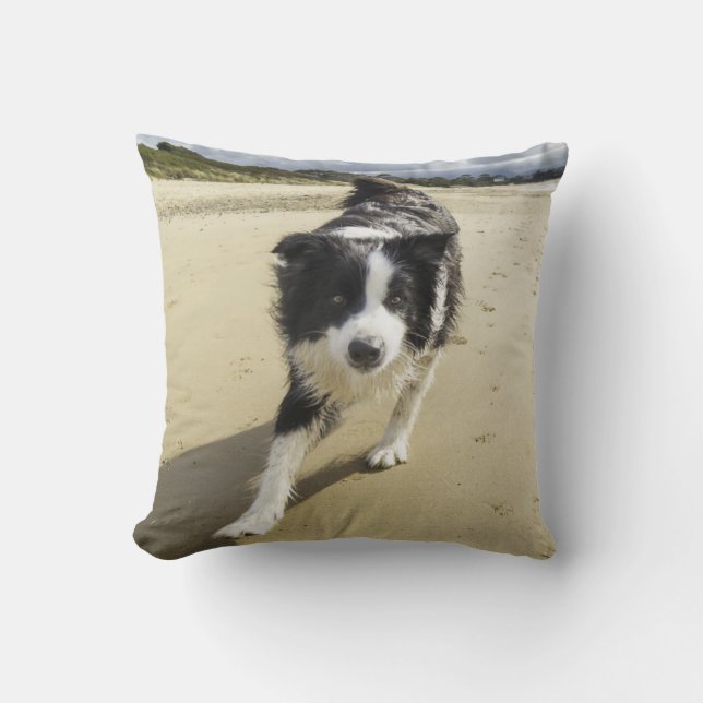 A Border Collie Dog Running On The Beach Throw Pillow (Front)