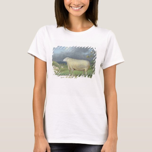 A Border Leicester Ewe (oil on canvas) T-Shirt (Front)