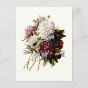 A Bouquet Of Peonies by Pierre-Joseph Redouté Postcard