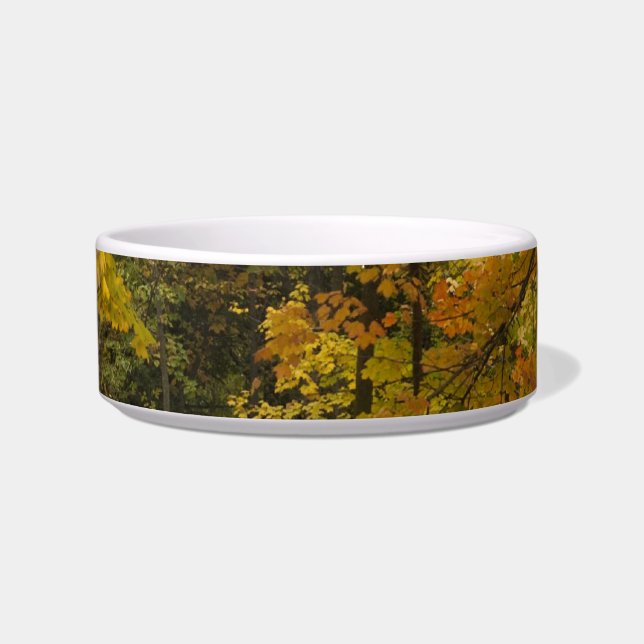 a bowl (Front)