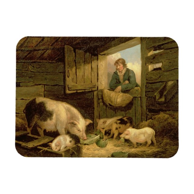 A Boy Looking into a Pig Sty, 1794 (oil on canvas) Magnet (Horizontal)