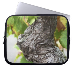 A branch of a very old vine with gnarled laptop sleeve