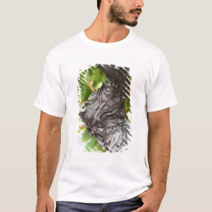 A branch of a very old vine with gnarled T-Shirt