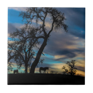 A Break in the Storm Horse Art Tile