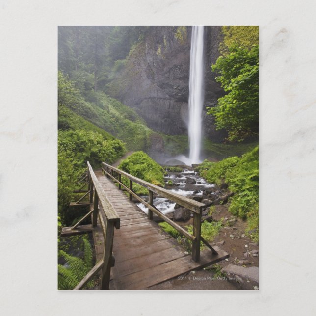 A Bridge Over Columbia River And Latourell Falls Postcard (Front)