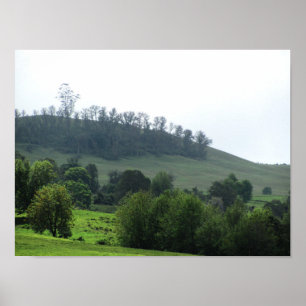 A bright patch Upcountry Poster