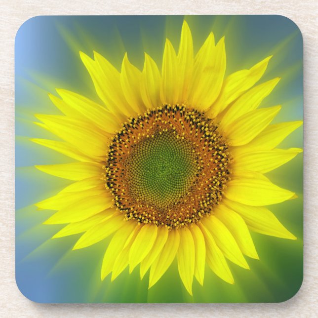 a bright sunflower coaster (Front)