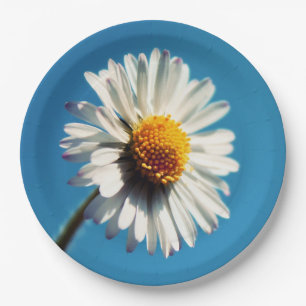 A Bright White Daisy under a Big Blue Sky Paper Plate