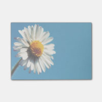 A Bright White Daisy under a Big Blue Sky