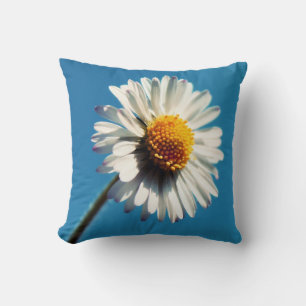 A Bright White Daisy under a Big Blue Sky Throw Pillow