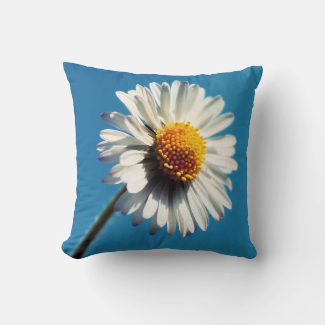 A Bright White Daisy under a Big Blue Sky Throw Pillow (Front)