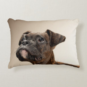A Brindle Boxer puppy looking up curiously. Decorative Pillow