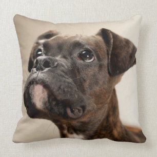 A Brindle Boxer puppy looking up curiously. Throw Pillow