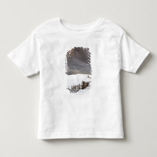 A Broken Fence Along A Snow Covered Field Toddler T-shirt