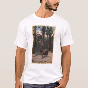 A Brown Bear in the Woods T-Shirt