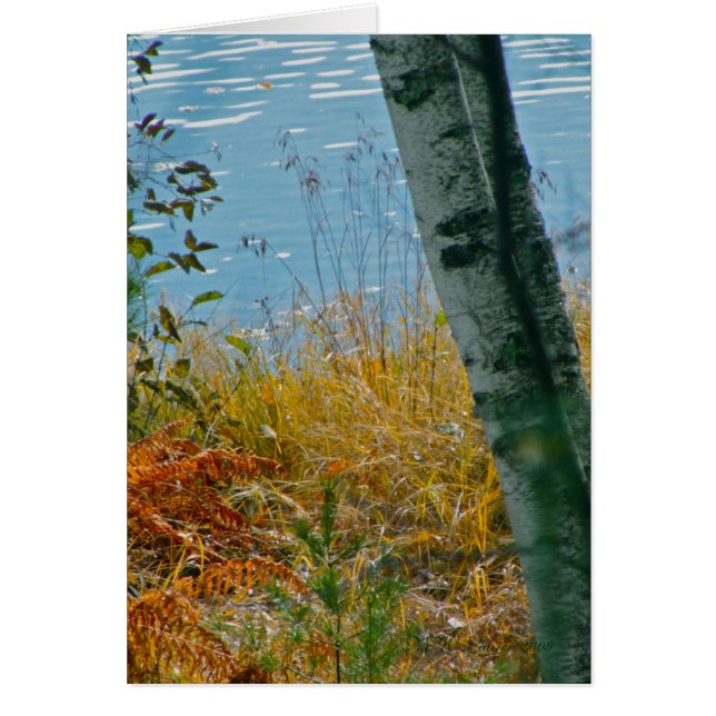 A Brush With Autumn (Front)