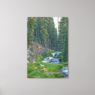 A Buck Rests at a Cascading River Canvas Print