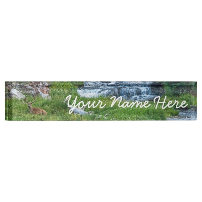 A Buck Rests at a Cascading River Nameplate (Front)