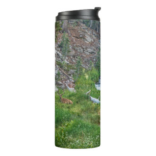 A Buck Rests at a Cascading River Thermal Tumbler