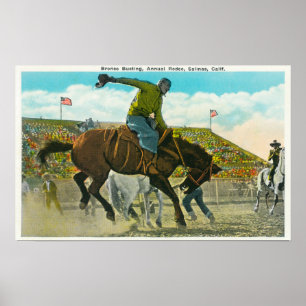 A Bucking Bronco at the Annual Salinas Rodeo Poster