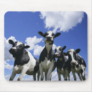 A bugs eye view of four young calves mouse pad