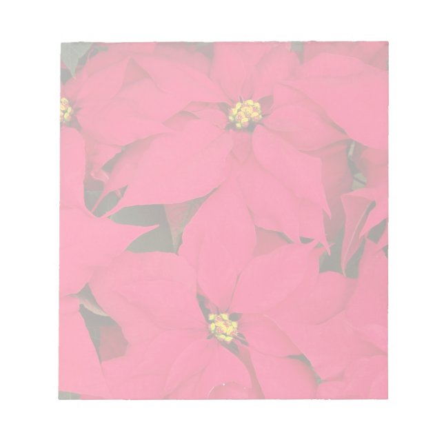 A bunch of Brightly Colored Christmas Poinsettias Notepad (Front)