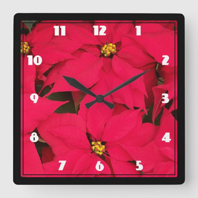 A bunch of Brightly Colored Christmas Poinsettias Square Wall Clock (Front)