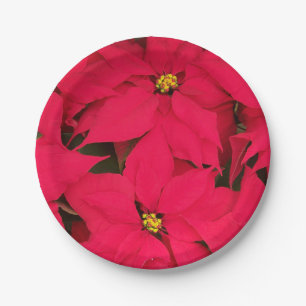 A bunch of Brightly Coloured Christmas Poinsettias Paper Plate