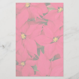 A bunch of Brightly Coloured Christmas Poinsettias Stationery