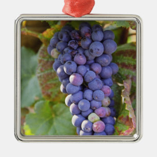 A bunch of Pinot Noir grapes in a Chambertin Metal Ornament