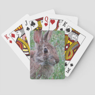 A Bunny Rabbit In Wildflowers Game Cards