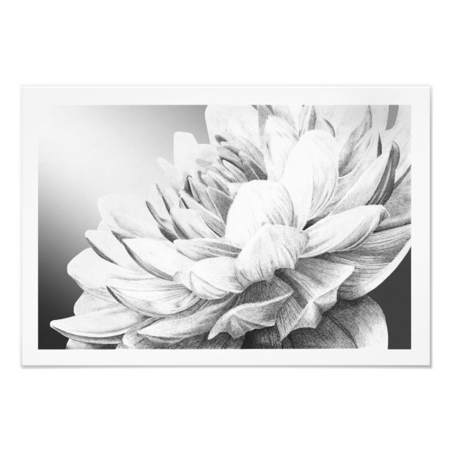 A Burst of Spring (with border) Photo Print (Front)