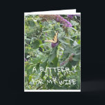 A **BUTTERFLY** FOR MY **WIFE** BIRTHDAY CARD<br><div class="desc">THANK U FOR STOPPING BY 1 OF MY EIGHT STORES</div>