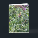 A **BUTTERFLY** FOR MY **WIFE** BIRTHDAY CARD<br><div class="desc">THANK U FOR STOPPING BY 1 OF MY EIGHT STORES</div>
