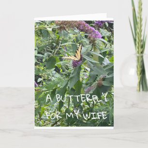 A **BUTTERFLY** FOR MY **WIFE** BIRTHDAY CARD