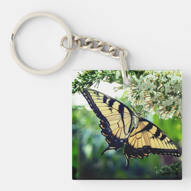 A butterfly  keychain (Front)