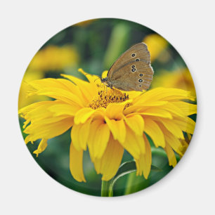 A butterfly on a yellow flower magnet