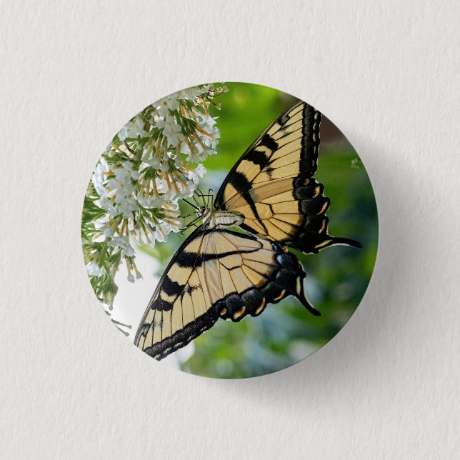 A butterfly with yellow and black wings  1 inch round button (Front)