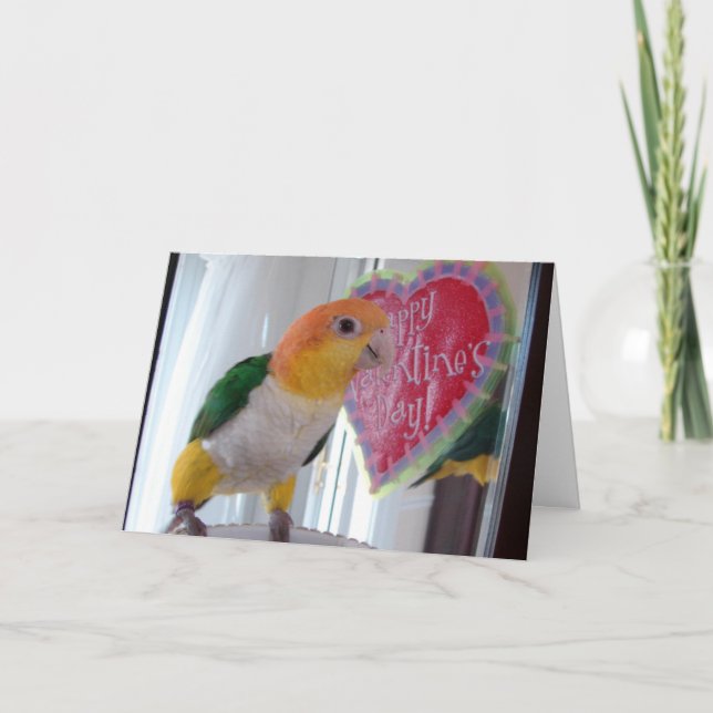 A Caique Valentine Holiday Card (Front)