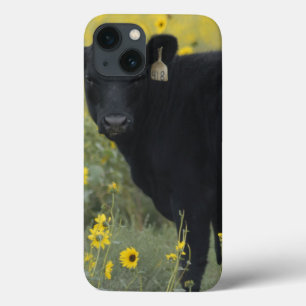 A calf amid the sunflowers of the Nebraska iPhone 13 Case