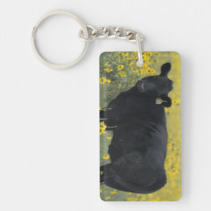 A calf amid the sunflowers of the Nebraska Keychain